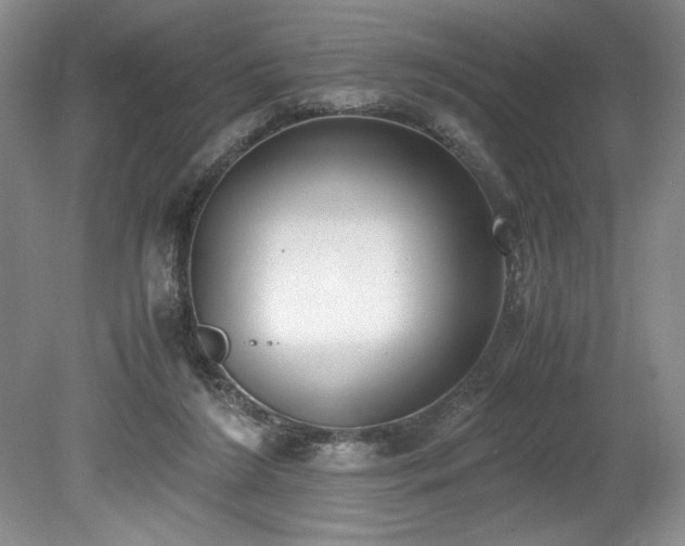 X0000078840212200611131157