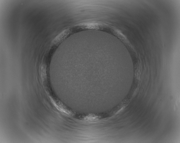 X0000078840213200611131157