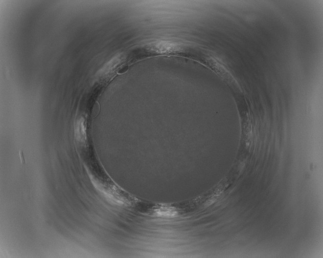 X0000078840214200611131157