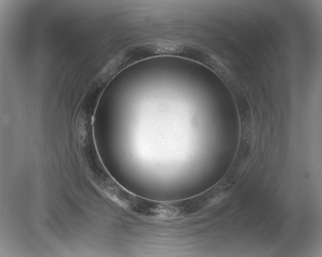 X0000078840215200611131157