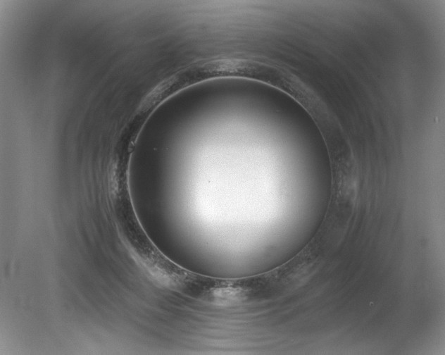 X0000078840216200611131157