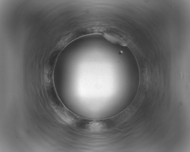 X0000078840218200611131157