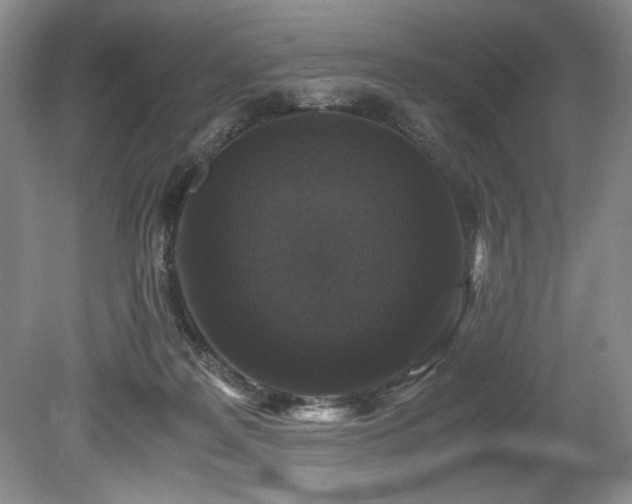 X0000078840219200611131157