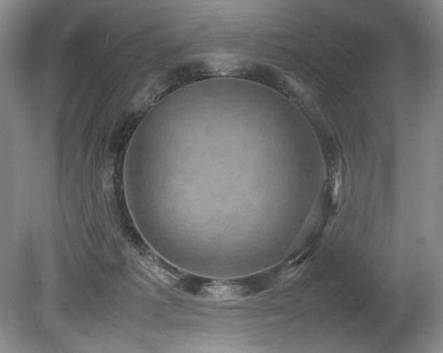 X0000078840221200611131157