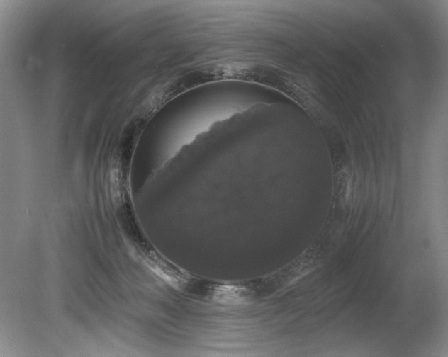 X0000078840222200611131157