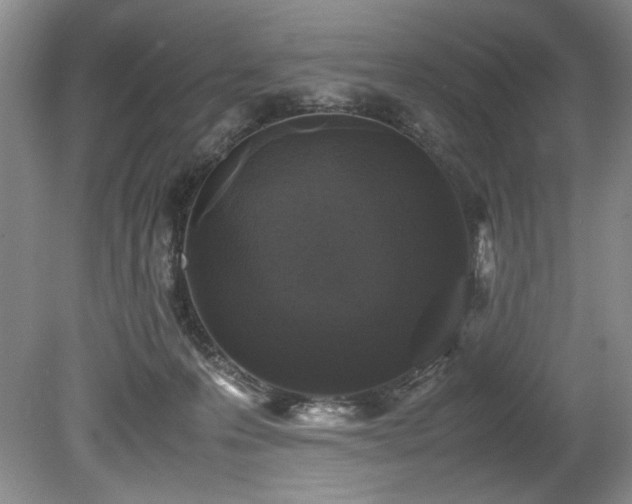 X0000078840223200611131157