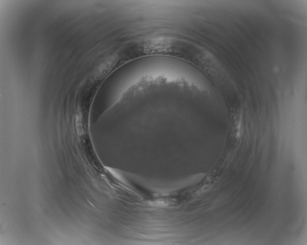 X0000078840224200611131157