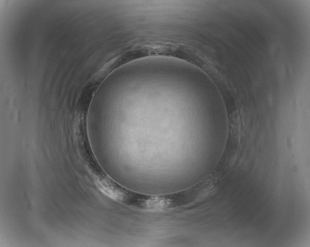 X0000078840225200611131157