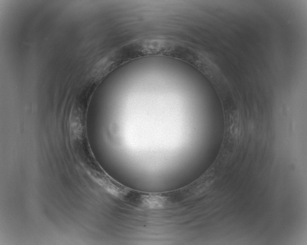 X0000078840226200611131157