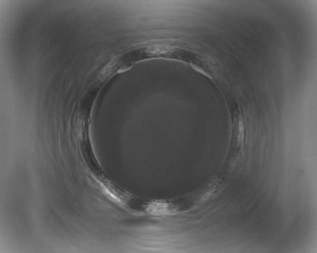 X0000078840227200611131157