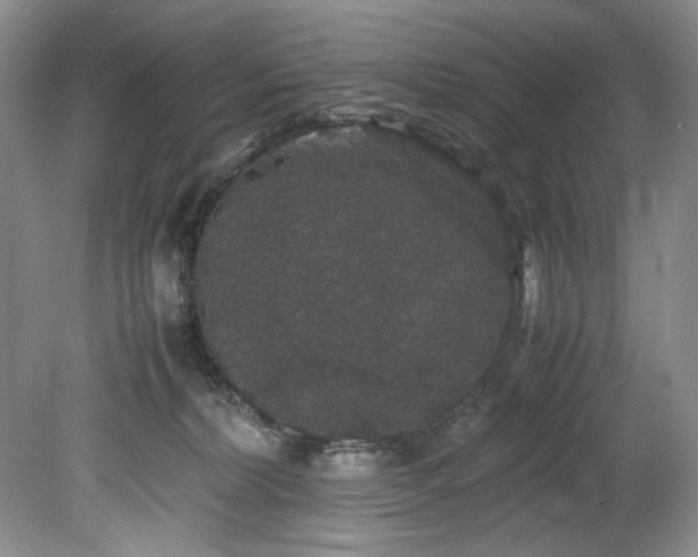 X0000078840228200611131157