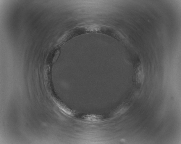 X0000078840229200611131157