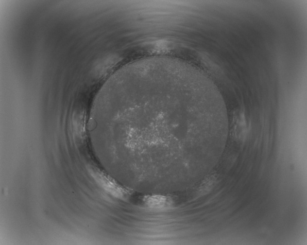 X0000078840230200611131157