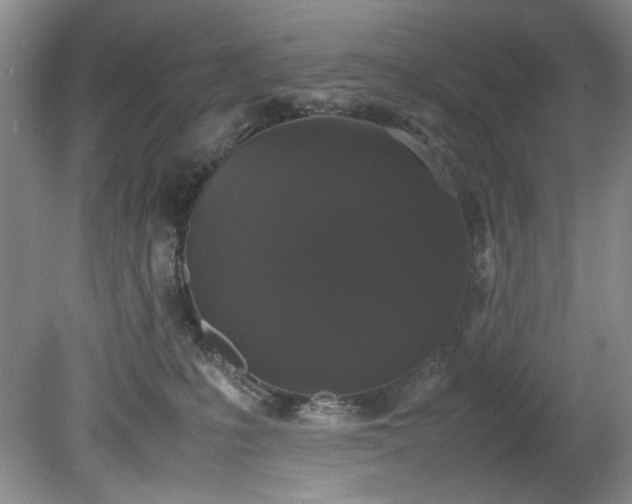 X0000078840231200611131157