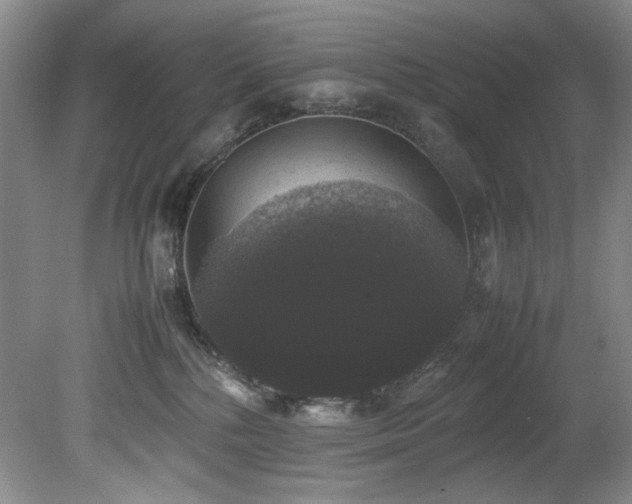 X0000078840232200611131157