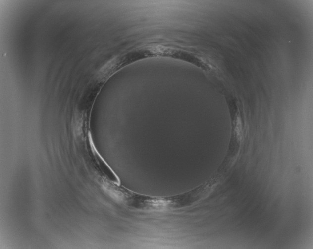 X0000078840233200611131157