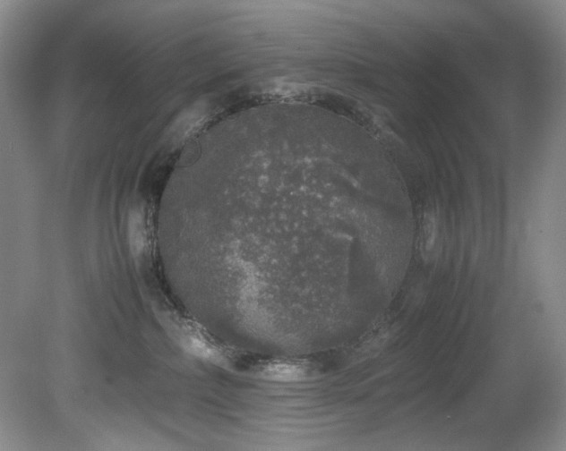 X0000078840236200611131157