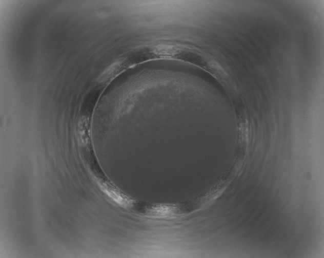 X0000078840237200611131157