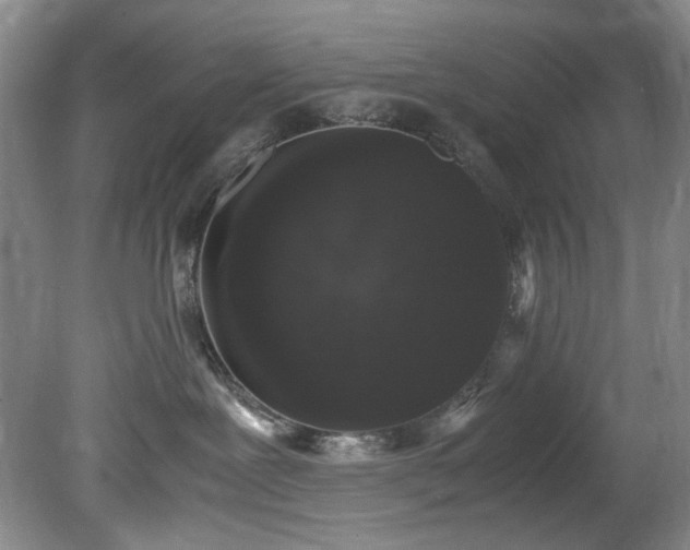 X0000078840239200611131157