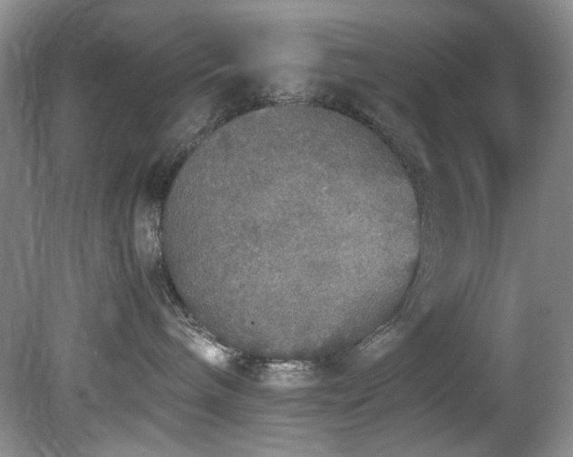 X0000078840240200611131157