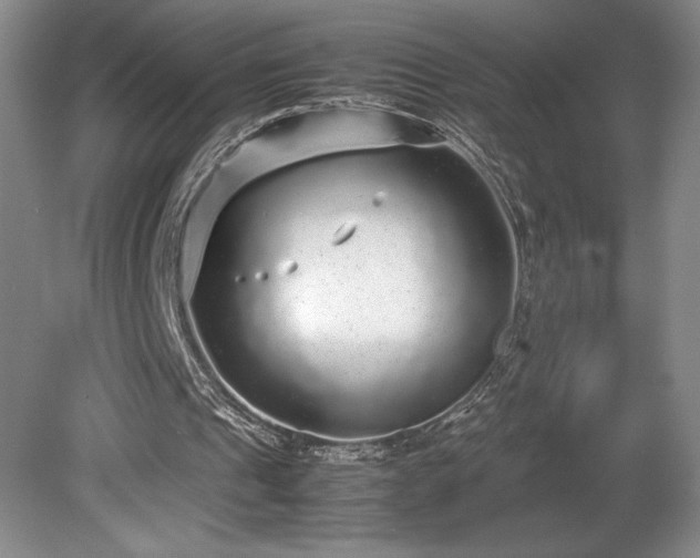 X0000078840241200611131156