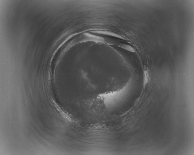 X0000078840243200611131156