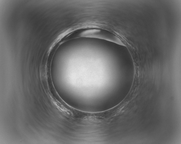 X0000078840244200611131156