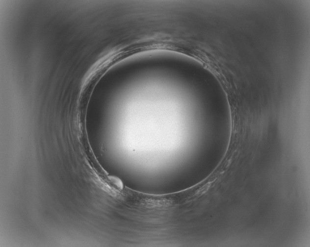 X0000078840245200611131156