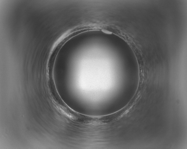 X0000078840246200611131156