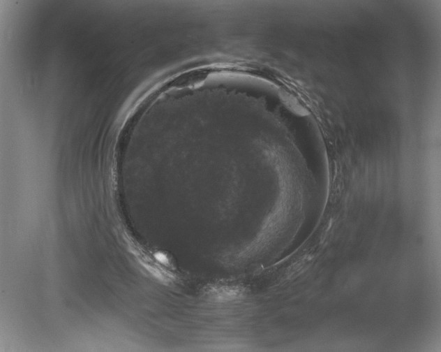 X0000078840247200611131156