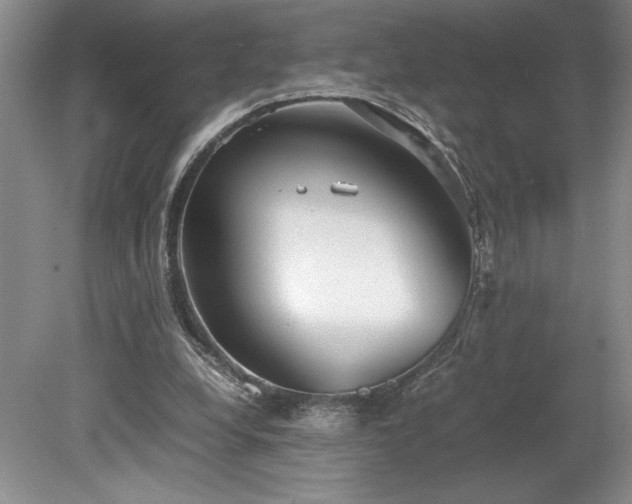 X0000078840248200611131156