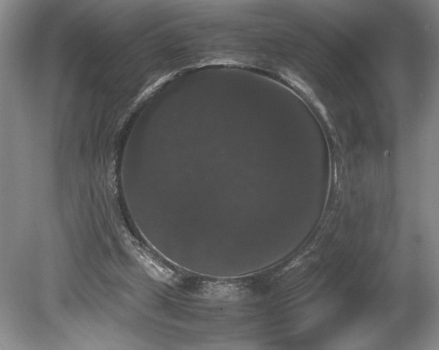 X0000078840249200611131156