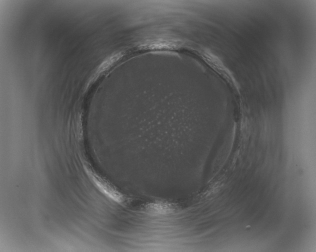 X0000078840250200611131156