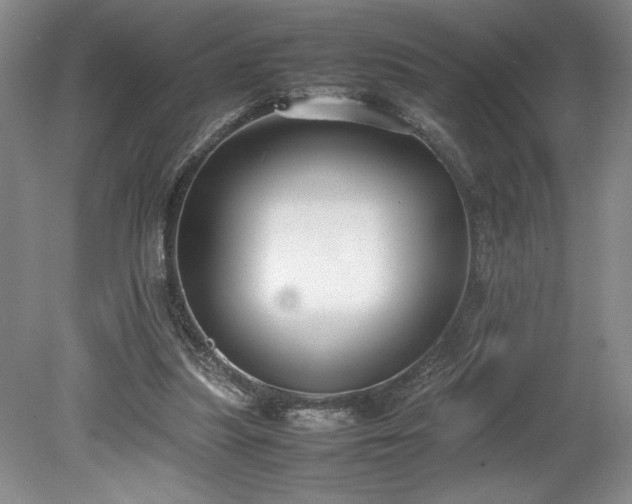 X0000078840251200611131156