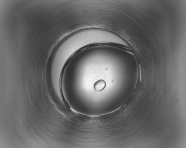 X0000078840252200611131156