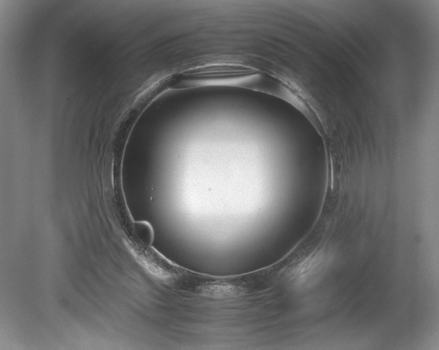 X0000078840253200611131156