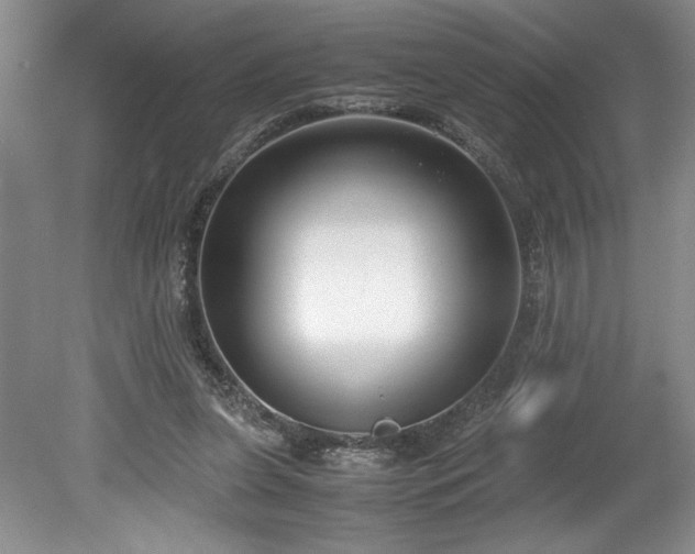 X0000078840255200611131156