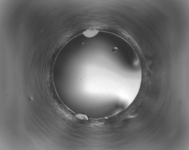 X0000078840257200611131156