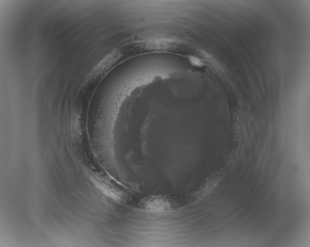 X0000078840258200611131156