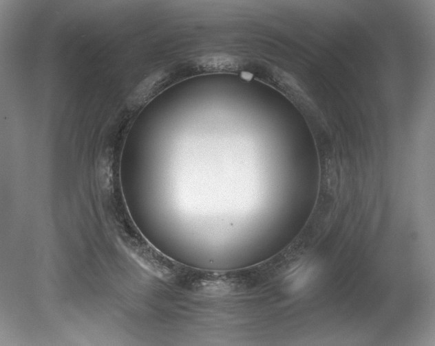 X0000078840259200611131156