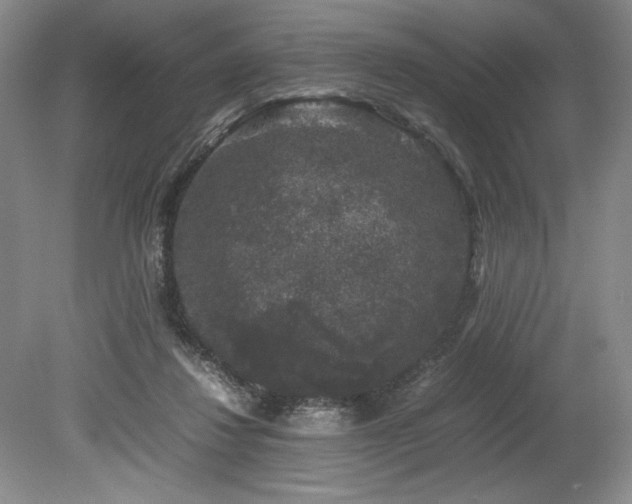 X0000078840260200611131156