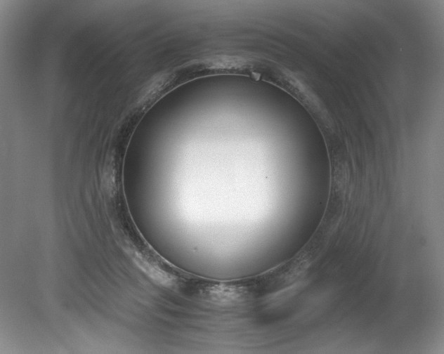 X0000078840261200611131156