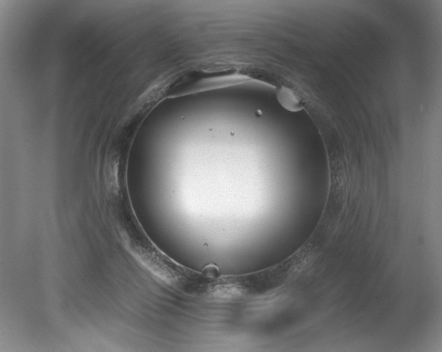 X0000078840262200611131156