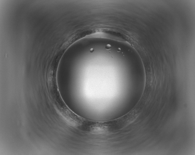 X0000078840263200611131156