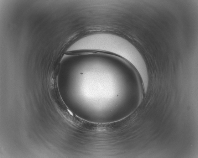 X0000078840264200611131156