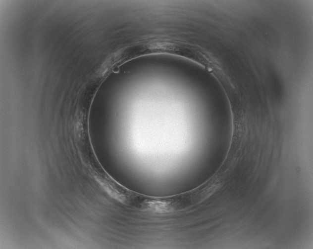 X0000078840265200611131156