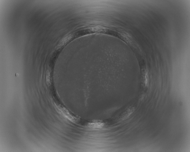 X0000078840266200611131156