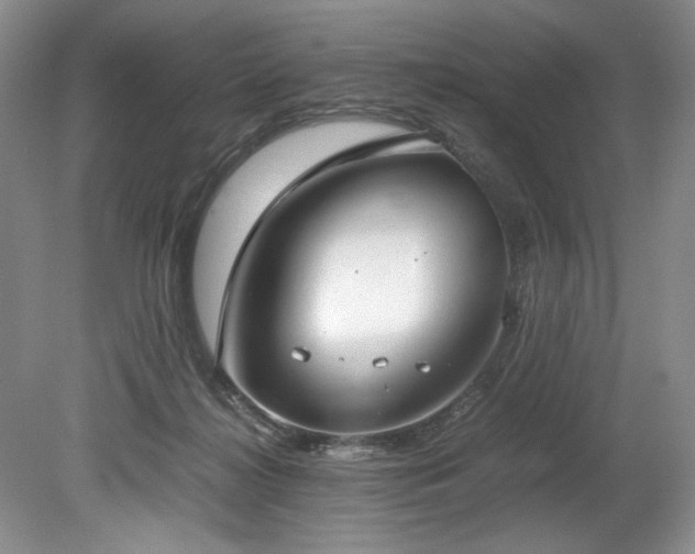 X0000078840268200611131156