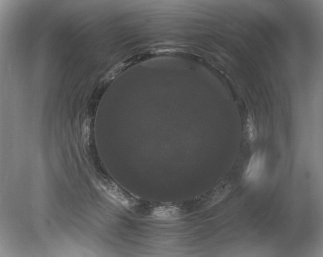 X0000078840271200611131156