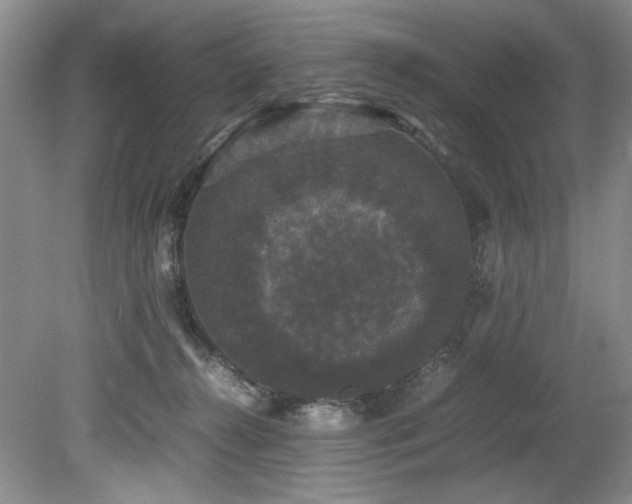 X0000078840272200611131156